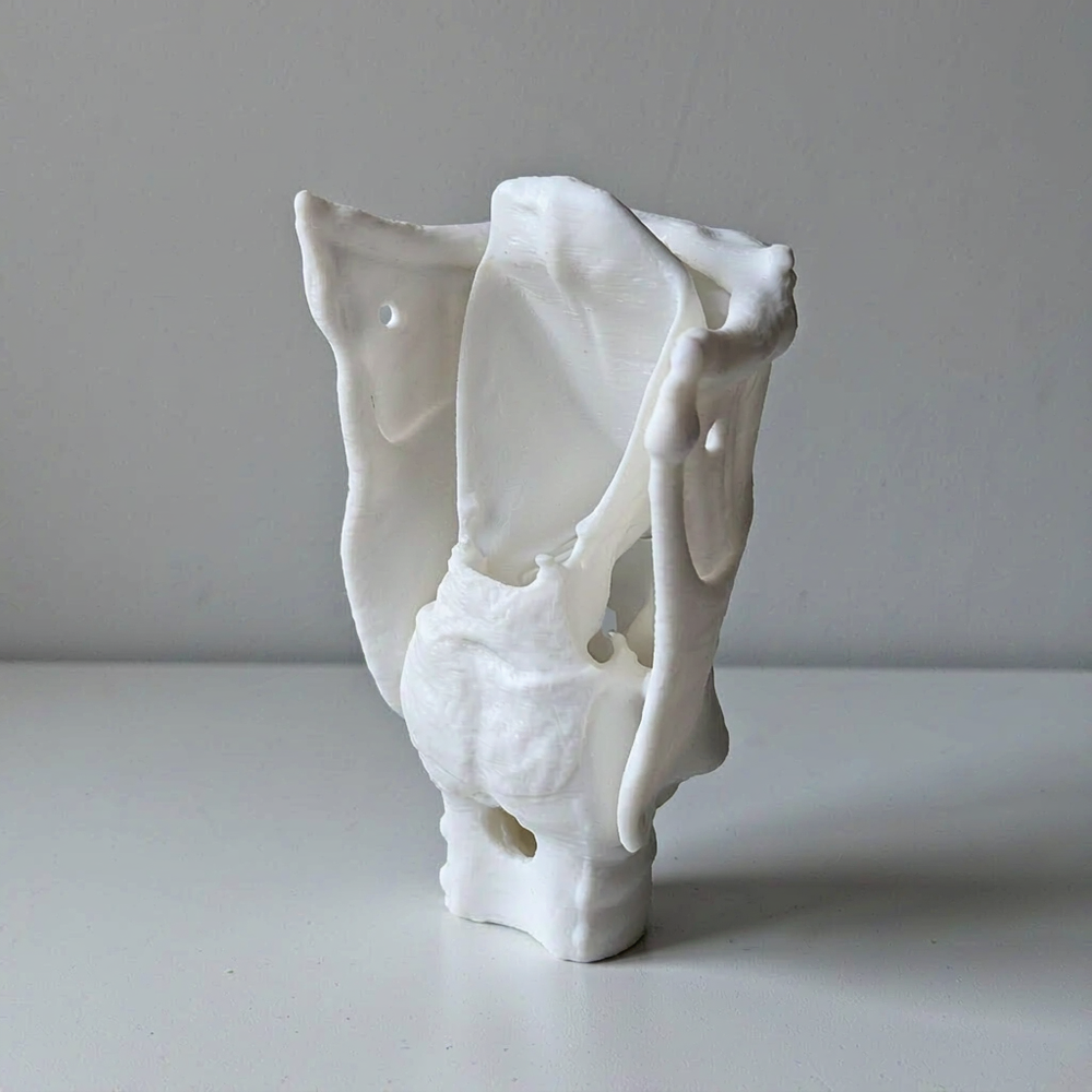 Human Upper Airway Anatomical Model for Anatomy Learning and Intubation Training — additional product view