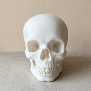 Realistic Detailed Human Skull Decor Statue, Solid Smooth Figurine for Home Tabletop and Halloween Display — main product view