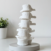 Spine Shape Decorative Ornament with Stable Round Base for Aquarium Landscape, Desktop and Shelf Display — additional product view