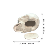 Skull Shaped Decorative Box with Hidden Sliding Storage Compartment for Home Desktop and Shelf Display — white background