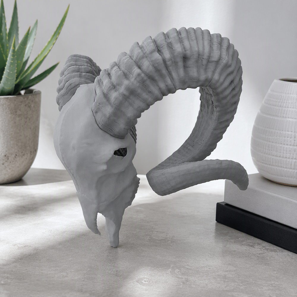 Detailed Curved Horn Ram Skull Sculpture Decorative Statue for Shelf and Desktop Display — additional product view