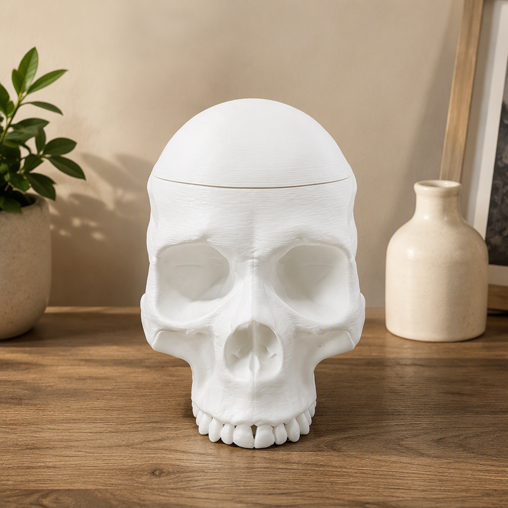 Realistic Skull Shaped Lidded Storage Box, Decorative Trinket Container — product scene