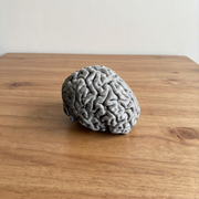 Textured Brain Shape Decorative Statue, Freestanding Display Figurine for Home Office Desktop and Shelf Decor — main product view