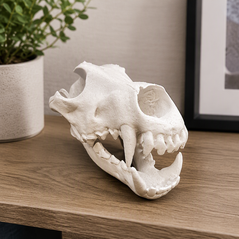 Realistic Detailed Wolf Skull Replica Sculpture - Home Shelf Display Desktop Decor Collectible Piece — main product view