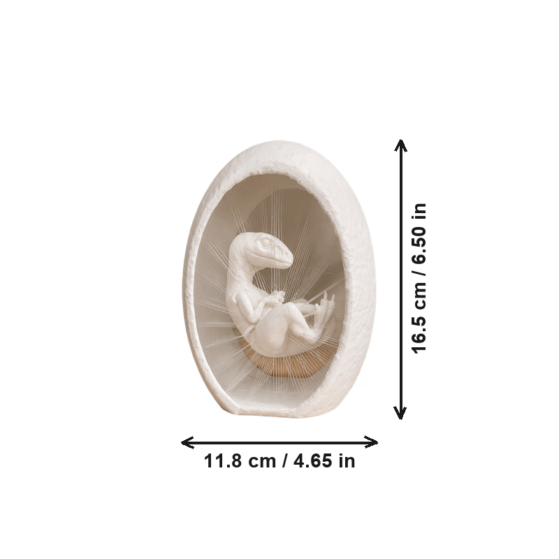 Suspended String Art Dinosaur Embryo in Egg Decorative Ornament — dimensions