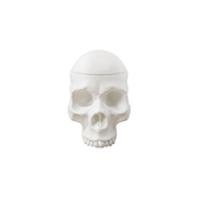 Realistic Skull Shaped Lidded Storage Box, Decorative Trinket Container — white background