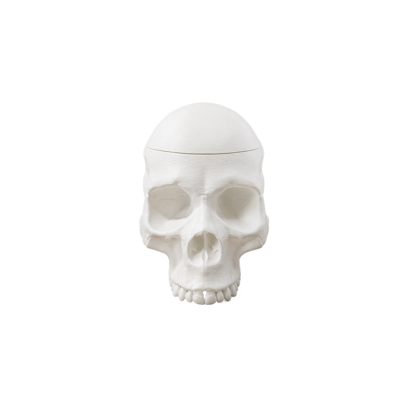 Realistic Skull Shaped Lidded Storage Box, Decorative Trinket Container — white background
