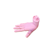 Poseable Articulated Hand with Moveable Finger Joints, Novelty Decorative Display Figure — white background
