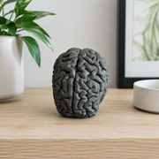 Textured Brain Shape Decorative Statue, Freestanding Display Figurine for Home Office Desktop and Shelf Decor — additional product view
