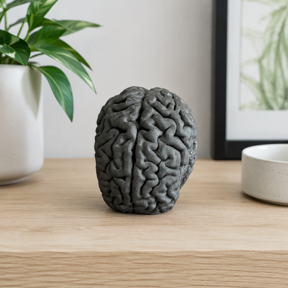 Textured Brain Shape Decorative Statue, Freestanding Display Figurine for Home Office Desktop and Shelf Decor — additional product view