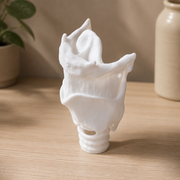 Human Upper Airway Anatomical Model for Anatomy Learning and Intubation Training — product scene