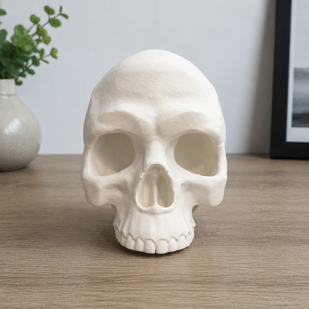 Skull Shaped Decorative Box with Hidden Sliding Storage Compartment for Home Desktop and Shelf Display — additional product view