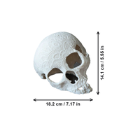 Carved Skull Aquarium Decoration Hollow Hideout for Fish, Shrimp, Crayfish and Hermit Crabs Tank Ornament — dimensions
