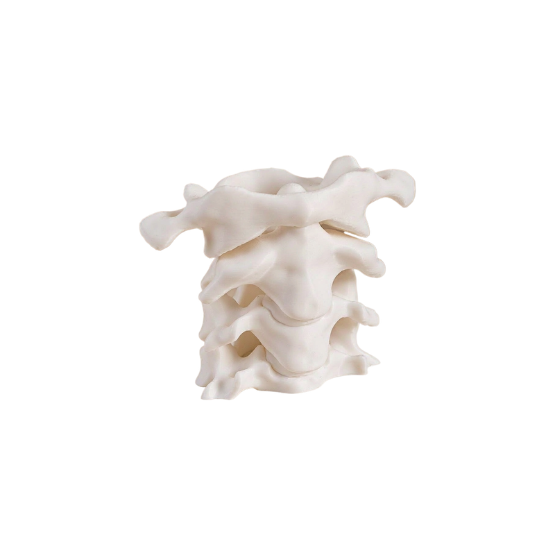 Cervical Vertebra Shaped Pen Holder, Novelty Desktop Pencil Cup for Office Desk Stationery Organization — white background