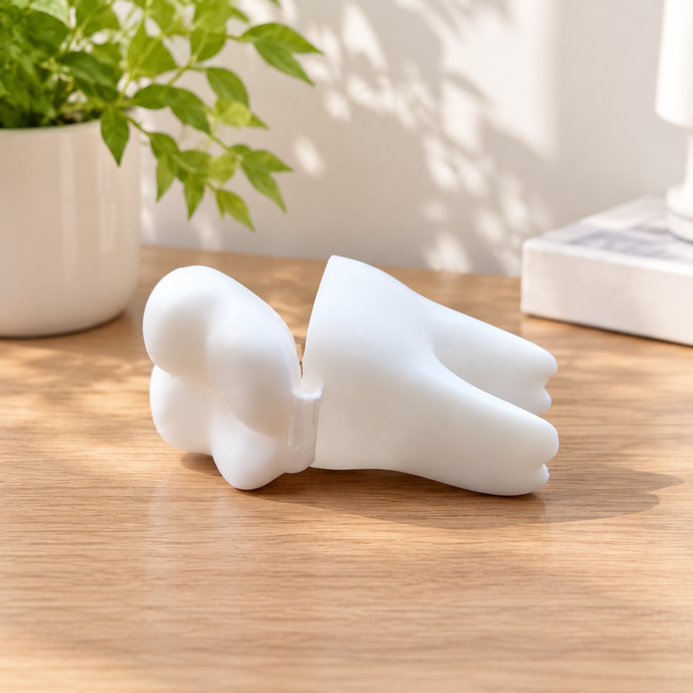 2 Pack Tooth-Shaped Mini Storage Boxes with Hinged Lids for Small Items and Trinkets — main product view