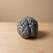 Textured Brain Shape Decorative Statue, Freestanding Display Figurine for Home Office Desktop and Shelf Decor — product scene