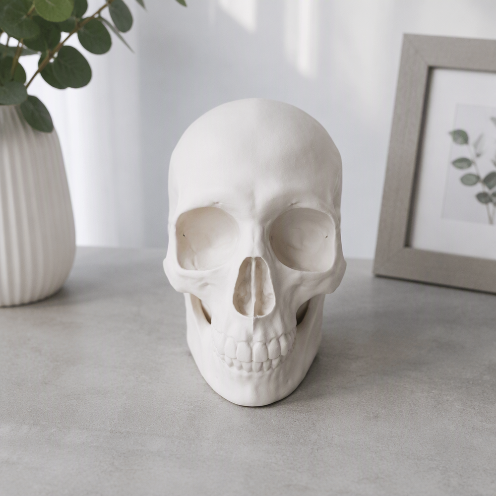 Realistic Detailed Human Skull Statue Halloween Home Party Desktop Decor Ornament — additional product view