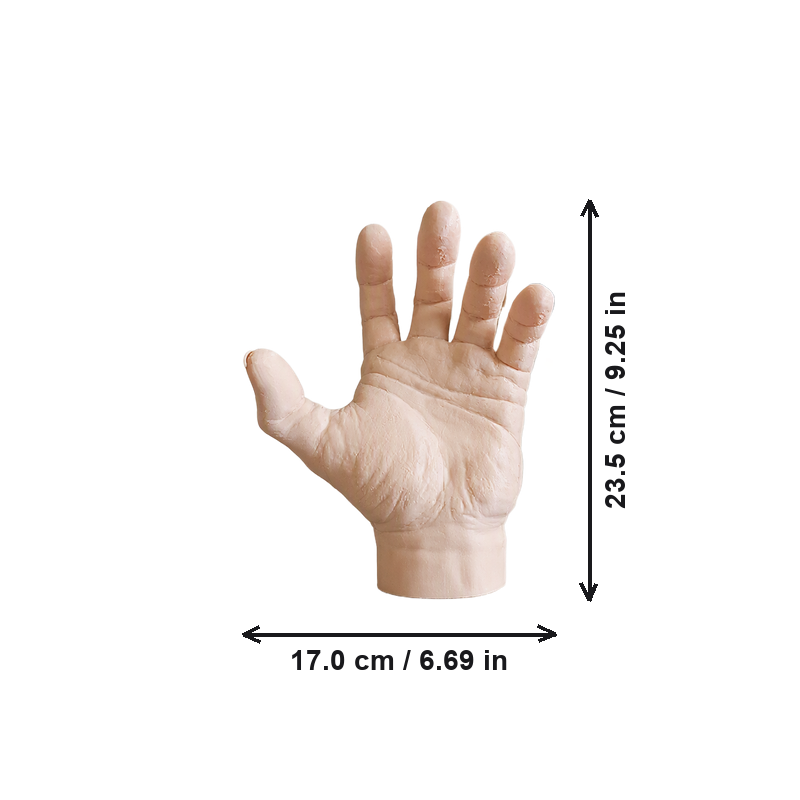 Realistic Freestanding Hand Sculpture, Tabletop Decorative Ornament for Home Display — dimensions