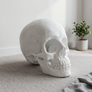Realistic Anatomical Human Skull Statue, Desktop and Home Display Decor Ornament — main product view