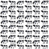 60pcs N Scale 1:150 Well Painted Farm Animals Cows(Random)