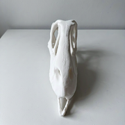 Realistic Detailed Dinosaur Skull Skeleton Model, Prehistoric Themed Desktop Display Decor — additional product view