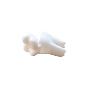 2 Pack Tooth-Shaped Mini Storage Boxes with Hinged Lids for Small Items and Trinkets — white background