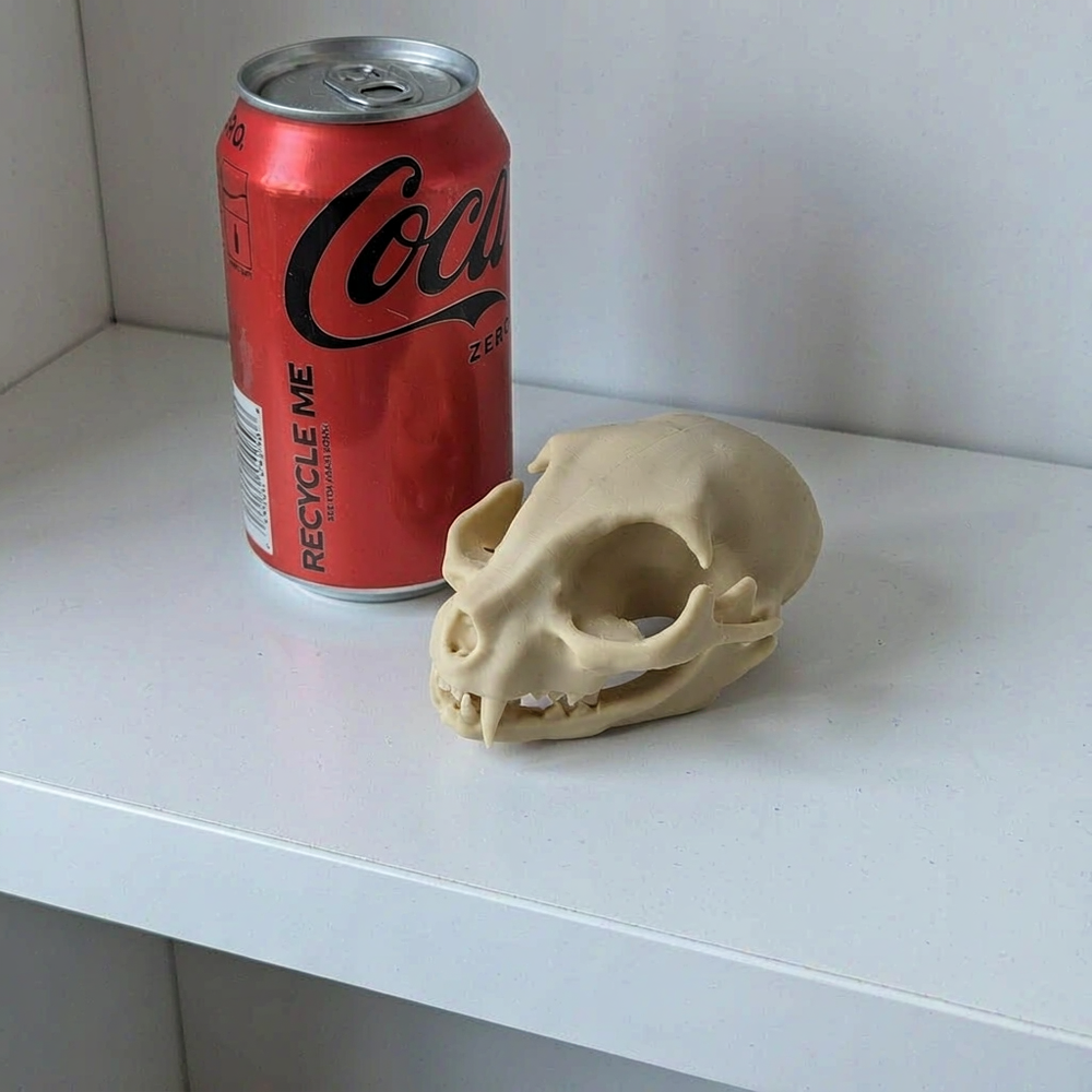 Cat Skull Head Sculpture, Desktop Home Display Decor for Halloween and Themed Projects — additional product view