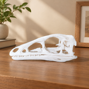 Dinosaur Skull Sculpture Prehistoric Fossil Replica Home Desktop and Shelf Display Decor Ornament — product scene