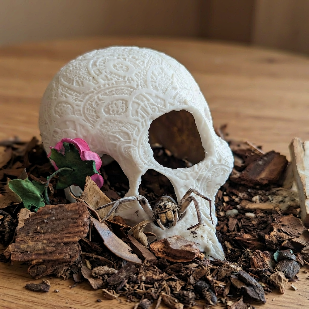 Carved Skull Aquarium Decoration Hollow Hideout for Fish, Shrimp, Crayfish and Hermit Crabs Tank Ornament — product scene