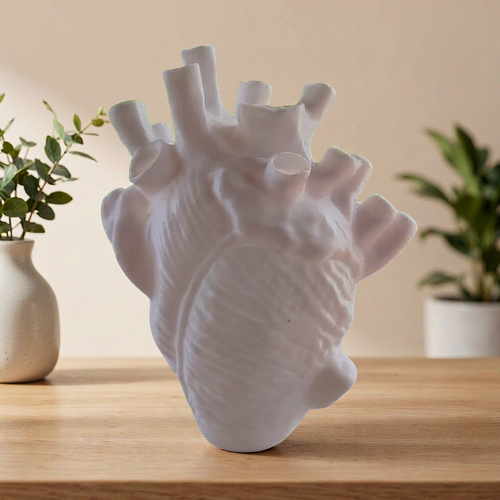 Anatomical Heart Shaped Decorative Vase, Unique Sculpture Accent for Desk, Shelf and Living Space — main product view