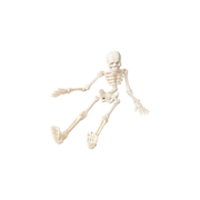 Poseable Articulated Skeleton Spooky Holiday Decor Ornament with Movable Joints — white background