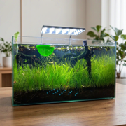 2 Pack Floating Fish Tank Hollow Shelter Aquarium Ornament Decoration — main product view