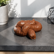Realistic Lifelike Fake Poop Prank Prop Funny Novelty Gag for Practical Jokes — additional product view