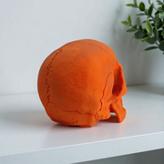 Realistic Detailed Skull Figurine, Decorative Skeleton Piece for Home Shelf Display and Holiday Decoration — additional product view