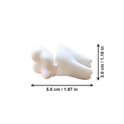 2 Pack Tooth-Shaped Mini Storage Boxes with Hinged Lids for Small Items and Trinkets — dimensions