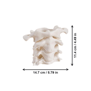 Cervical Vertebra Shaped Pen Holder, Novelty Desktop Pencil Cup for Office Desk Stationery Organization — dimensions