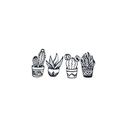 4-Piece Potted Succulent Cactus Wall Art, Minimalist Plant Themed Home Wall Decor — additional product view
