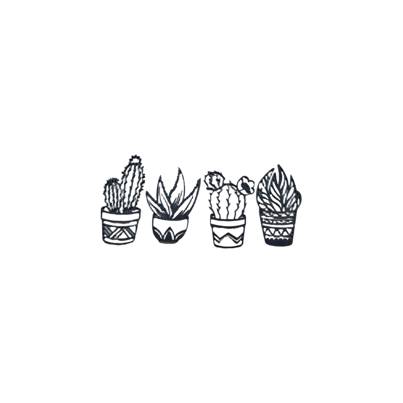 4-Piece Potted Succulent Cactus Wall Art, Minimalist Plant Themed Home Wall Decor — additional product view