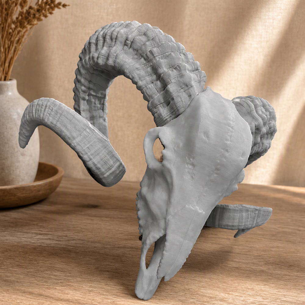 Detailed Curved Horn Ram Skull Sculpture Decorative Statue for Shelf and Desktop Display — product scene