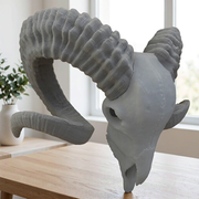 Detailed Curved Horn Ram Skull Sculpture Decorative Statue for Shelf and Desktop Display — main product view