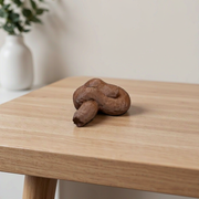 Realistic Lifelike Fake Poop Prank Prop Funny Novelty Gag for Practical Jokes — main product view