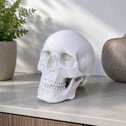 Realistic Detailed Human Skull Decor Statue, Solid Smooth Figurine for Home Tabletop and Halloween Display — additional product view