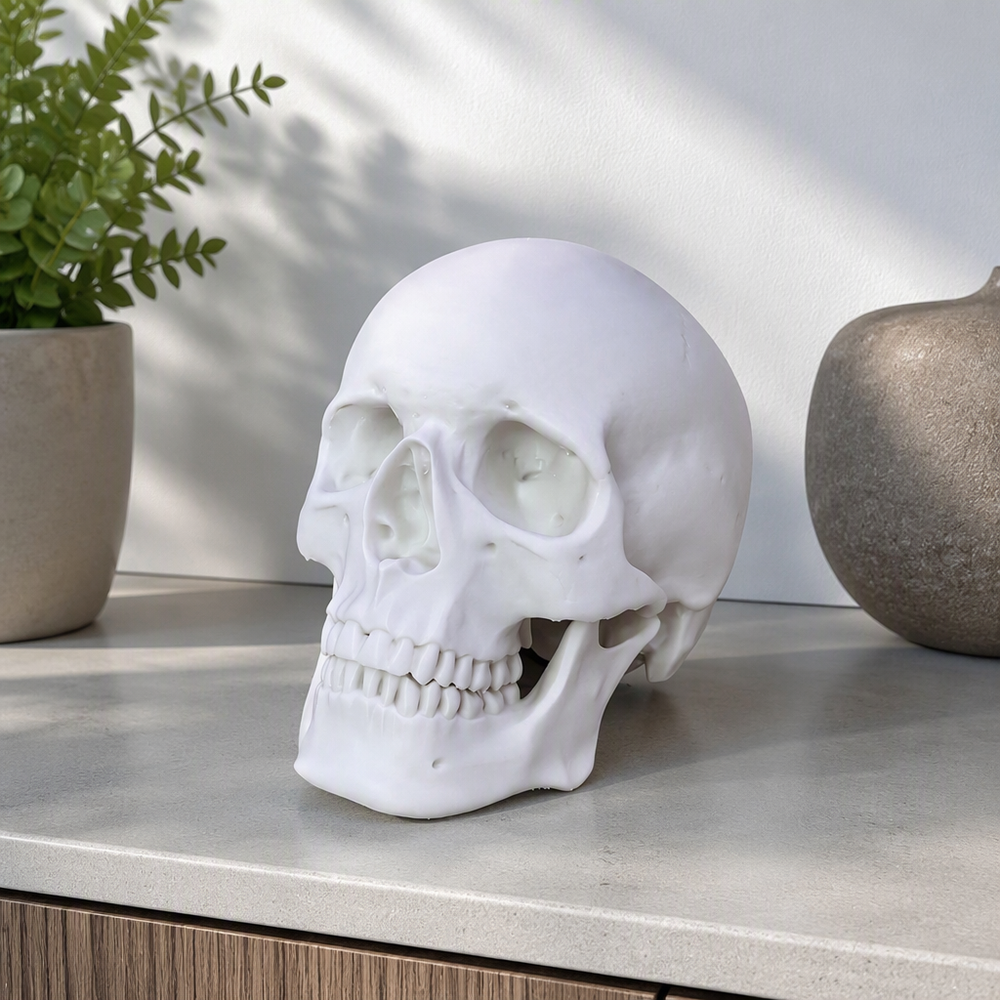 Realistic Detailed Human Skull Decor Statue, Solid Smooth Figurine for Home Tabletop and Halloween Display — additional product view