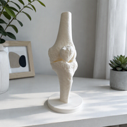 Anatomical Human Knee Joint Model with Stable Display Base, Detailed Bone Structure for Study Reference and Desktop Decoration — additional product view