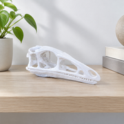 Dinosaur Skull Sculpture Prehistoric Fossil Replica Home Desktop and Shelf Display Decor Ornament — additional product view