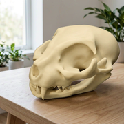 Cat Skull Head Sculpture, Desktop Home Display Decor for Halloween and Themed Projects — main product view