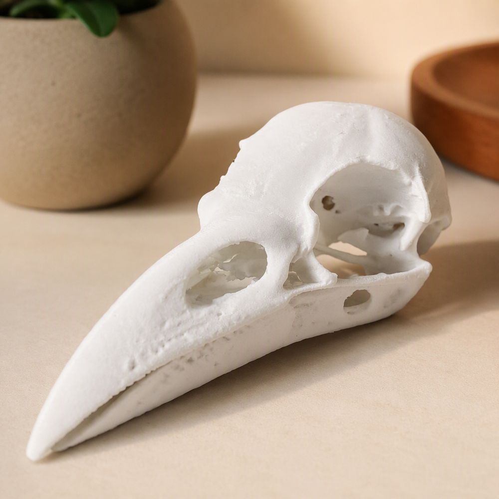 Realistic Raven Skull Ornament Gothic Home Decor for Holiday Tabletop Display — product scene