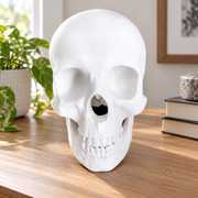 Realistic Detailed Human Skull Decorative Figurine Spooky Themed Home Shelf Desk Holiday Display Accent — main product view