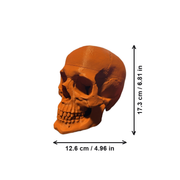 Realistic Detailed Skull Figurine, Decorative Skeleton Piece for Home Shelf Display and Holiday Decoration — white background