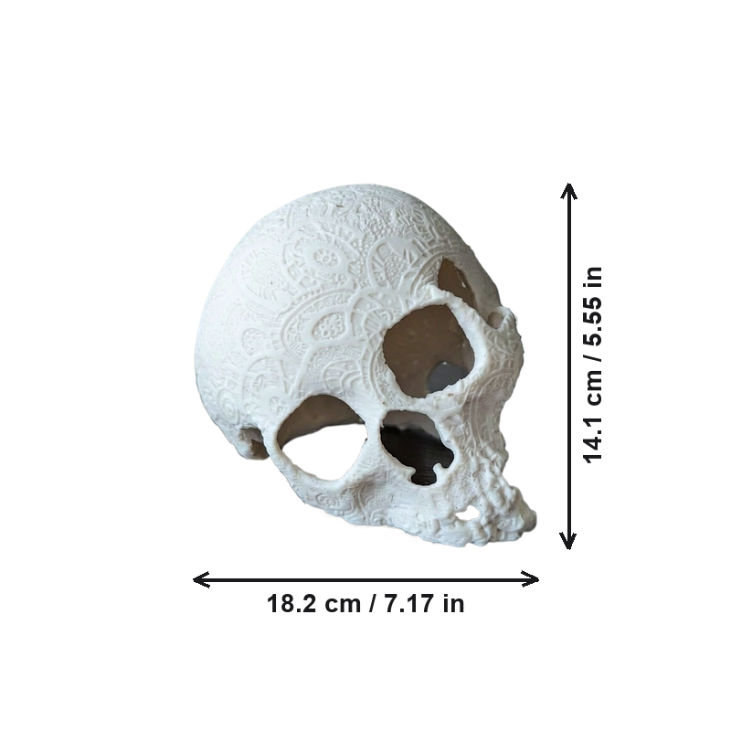 Carved Skull Aquarium Decoration Hollow Hideout for Fish, Shrimp, Crayfish and Hermit Crabs Tank Ornament — dimensions